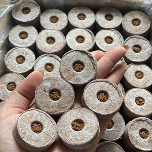 Granulés de tourbe de coco en fibre de coco 100% naturelle super bon marché fibre de coco de haute qualité en vrac pour l'exportation du Vietnam - Product Image 6