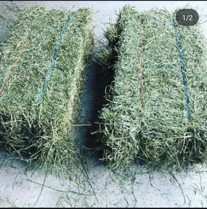 Foin d'alfalfa en gros, sacs PP de 25 kg, impression de logo personnalisée disponible, MOQ 20 tonnes, pour marques privées et distributeurs mondiaux - Product Image 5