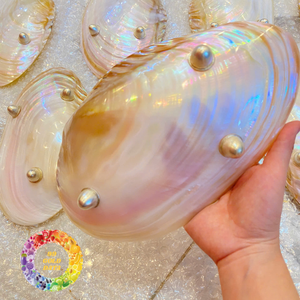 Assiettes en nacre authentiques faites à la main, plat de service décoratif en coquillage, vaisselle de table raffinée en provenance du Vietnam - Caryln - Product Image 2