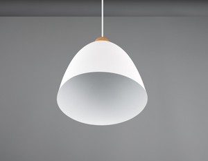 Lámpara colgante Jagger blanca E27 IP20 150cm (Trio R30681032) - Product Image 4