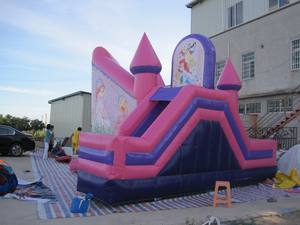 Castillo Inflable Combinado con Temática de Cartones Animados para Niños - Product Image 2