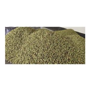 Cardamome verte de meilleure qualité - Product Image 1