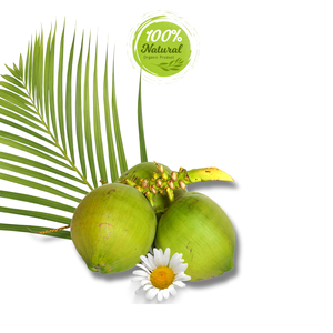 Sabor tropical puro con cada sorbo Cocos vietnamitas frescos con cáscara - Product Image 2