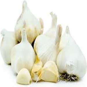 Firmness, and Purity Grade <b>Fresh</b> <b>Garlics</b> Available at Reasonable Prices - Product Image 5