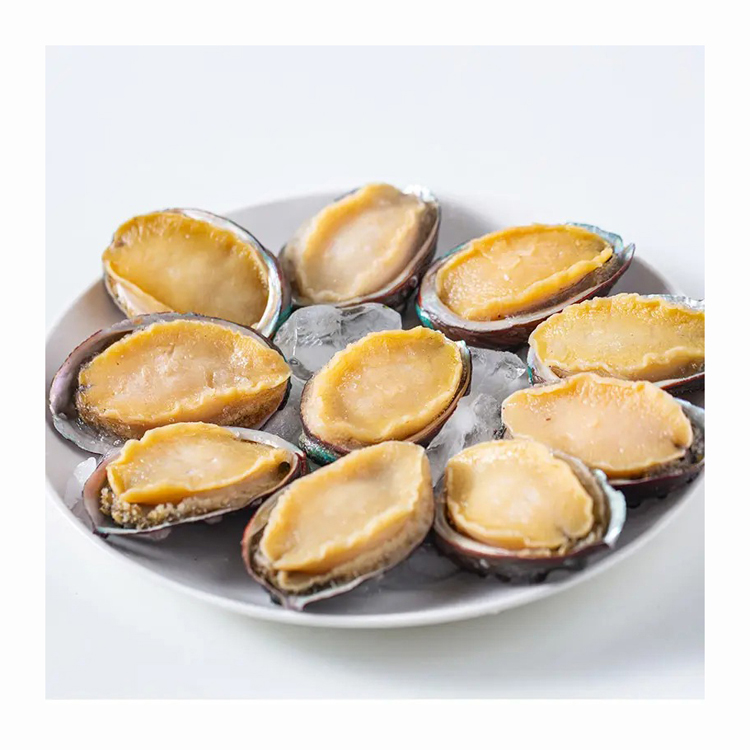 Hot-selling Nutritious 500g dried abalone scallop seafood