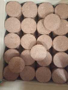 อินดี้ ออร์แกนิค โคโคพีท พาเลท 30-100 มม. เนื้อไม้ธรรมชาติ อายุการเก็บรักษา 24 เดือน สำหรับทำสวนและการเกษตร (ขั้นต่ำในการสั่งซื้อ 1 ตู้คอนเทนเนอร์ 20 ฟุต) อะมีน - Product Image 2