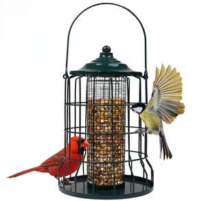 बाहरी सर्दियों के उपयोग के लिए गिलहरी-प्रूफ धातु पक्षी फीडर पर्यावरण के अनुकूल दीवार-माउंटेड डिजाइन पक्षियों के लिए बीज रखती है - Product Image 1