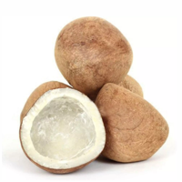 Copra de noix de coco comestible de qualité supérieure à prix abordable, mi-séché, blanc naturel, durée de conservation de 2 ans, approvisionnement direct usine Indonésie IndoCopra