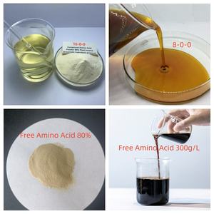 Engrais liquide aux acides aminés, concentré à 50%, pour fruits et légumes, stimulateur de croissance des plantes biologique - Product Image 3