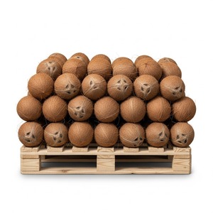 Noix de coco fraîches de qualité d'exportation semi-décortiquées pour l'extraction de l'huile de boisson de cuisson et la distribution internationale - Product Image 3