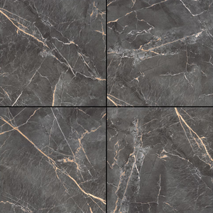 Carreaux fabriqués en inde avec des carreaux céramiques émaillés et émaillés avec une finition brillante de 600x600mm, utilisés pour les hôpitaux - Product Image 2