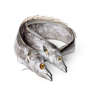 ปลาริบบิ้นสดแช่แข็งทั้งตัวราคาขายส่งที่ดีที่สุดในตลาด - Product Image 6