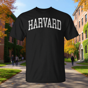 Maglietta promozionale sportiva vintage Harvard Massachusetts Ma - Product Image 3