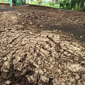 Fertilizante Orgánico de Compost Verm de la India, 1 kg - Alta Calidad, Calidad de Exportación, Excelente Precio - Product Image 3