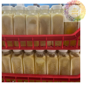 Concentré de jus de calamansi Kumquat pur congelé IQF prix usine d'origine du Vietnam pour les boissons jus de désintoxication et la transformation des aliments - Product Image 6