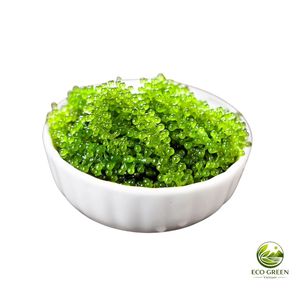 Caviar vert frais et raisins de mer pour restaurants, salades de sushis, fournisseur en gros du Vietnam - Product Image 1