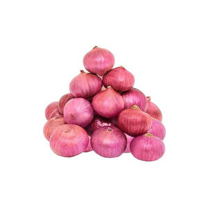 Oignons rouges frais de première qualité, non pelés, ronds, origine américaine, prix raisonnable - Product Image 2