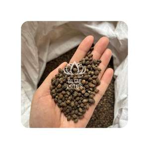 VENTE FLASH Graines de papaye séchées Blue Lotus 2025 pour une digestion naturelle et une détoxification du corps - Product Image 1