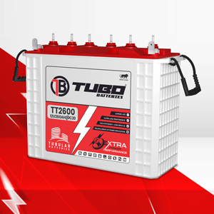 TUBO 12V260AH C20 Batería tubular para sistemas de energía solar Exportadores de baterías solares Primario para sistema de Casa de baterías solares - Product Image 2