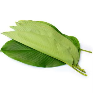 HOJAS DE FRINIO NATURALES/GRADO CONGELADO/LISTO PARA USAR PARA ENVASAR Y EXPORTAR ALIMENTOS - Product Image 2