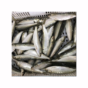 Pescado Entero Congelado de Alta Calidad con Frescura Natural Retenida, Empacado Cuidadosamente para Exportación, Ideal para Mariscos Internacionales - Product Image 3