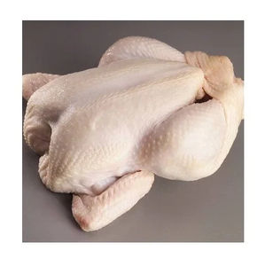 Paquete a Granel de Alitas de Pollo Halal Congeladas, Parte Media, Calidad Premium, Certificadas Halal, Saludables, Bajas en Grasa, Suministro de Carne - Product Image 1