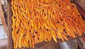 Natural Dried Sweet Potato <b>Sticks</b> - Gluten-Free, Vegan, Perfect for Nutritious and Tasty Snacks - Product Image 4