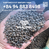 Vente en gros de poivre noir du Vietnam de haute qualité 100% produit biologique naturel pas cher prêt à expédier en vrac