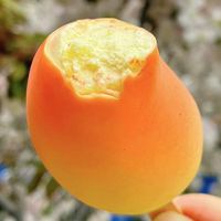 Nouvelle conception de crème glacée végane aromatisée à la litchi et à la pomme, sucettes glacées en forme de fruits 3D, saveurs mangue, pêche, raisin, citron