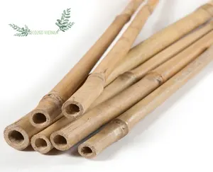 Goedkoopste Prijs Voor Natuurlijke Bamboe Boomstokken Te Koop/Plant Ondersteuning Stakes Bamboe Voor De Bouw, Tuin, Huis En Meer