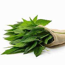 FEUILLES DE JUTE CONGELÉES ÉTIQUETTE PROPRE LÉGUME VERT NATUREL AVEC AVANTAGES DE SOUTIEN IMMUNITAIRE À BASE DE PLANTES - Product Image 5