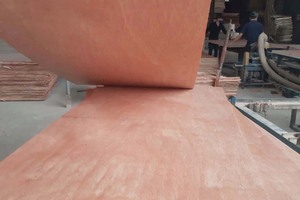 Bintangor แผ่นไม้อัดไม้อัดไม้อัดไม้อัดไม้อัดไม้อัดแผ่นไม้อัดไม้อัดสำหรับผิวหน้าในร่มชั้นหนึ่ง E2รับประกัน1ปี - Product Image 3