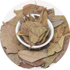 Hojas secas de Guanábana empaquetadas en bolsas con cremallera al vacío de primera clase hechas en Vietnam/Sra. Lily + 84 906 927736 - Product Image 1