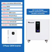 Универсальная система хранения энергии для дома AC380V 51.2V 587Ah 628Ah LiFePO4 30кВтч 32кВтч с 3-фазным инвертором 12кВт