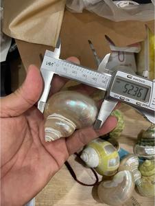 Ronds de serviette Shell de qualité supérieure pour la restauration, les banquets de villégiature et les commandes personnalisées en gros dans le monde entier - Product Image 4