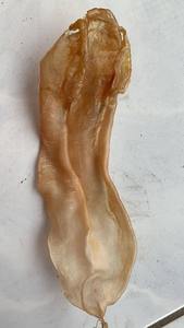 Prix d'usine : Vessie de poisson séchée jaune/blanche vietnamienne pour l'exportation / Type de poisson Pangasius de qualité supérieure pour la préparation de soupes - Product Image 3