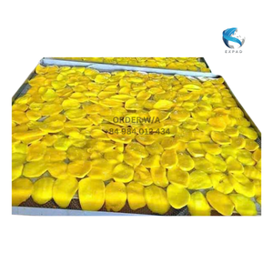 Rodajas de Mango Liofilizado Estándar de exportación a muchos países Mango seco a granel Stock al por mayor - Product Image 5