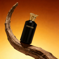 Flacon de parfum vide, design unique et luxueux, flacon de parfum en verre pour homme, 100 ml, sans bouchon