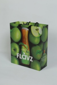 Bolsas de Papel Reciclado de Lujo con Diseño Personalizado, Asas Flexiloop e Impresión Offset para Zapatos y Ropa - Product Image 3