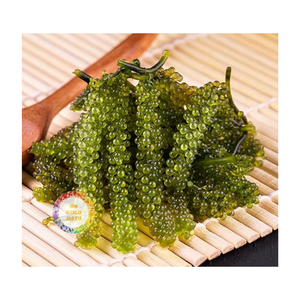 PREMIUM 100% RAISINS DE MER SÉCHÉS NATURELS FRAIS DÉLICIEUX STANDARD D'EXPORTATION DE HAUTE QUALITÉ FRUITS DE MER FROM99 GOLD DATA - Product Image 6