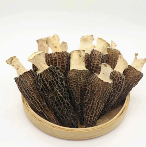 Champignon Morel naturel séché au soleil du Vietnam fabriqué à partir de champignons de la forêt sauvage, parfait pour une utilisation au restaurant - Product Image 2