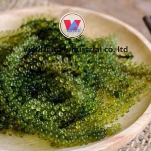 ผักกาดหอมจากทะเลจากเกาหลีที่เก็บเกี่ยวด้วยมือคุณภาพระดับพรีเมียมขนมซูเปอร์ฟู้ดจากแหล่งที่ยั่งยืนแห้งอย่างเชี่ยวชาญ - Product Image 2