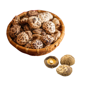 Hongo Shiitake seco orgánico de alta calidad-Producto vegano Todo natural sin aditivos sin productos químicos sin gluten/ Lima - Product Image 1