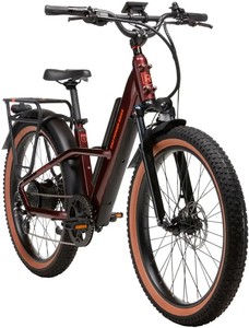 Bicicleta Eléctrica Todoterreno Rad ster Trail - 750W - 100 Nm Torque - Product Image 2