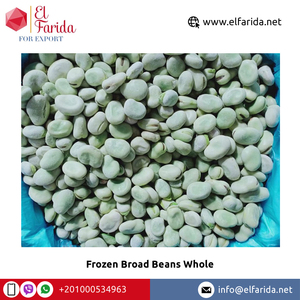 Fèves surgelées d'origine égyptienne de qualité supérieure Légumes entiers de haute qualité Vente à chaud au prix de gros - Product Image 2