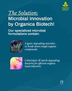 Traitement des eaux usées de l'industrie papetière - Product Image 4