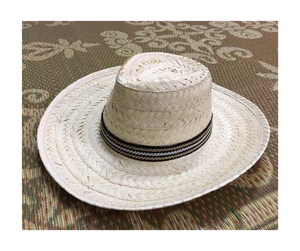 Premium Vietnam Straw <b>Hat</b>, Eye-Catching Multicolor Fabric <b>Hat</b> Perfect <b>for</b> Summer and Export Supply - Product Image 2