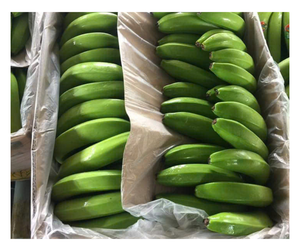 Banana Cavendish fresca Premium de Vietnam: las mejores ofertas disponibles ahora Banana fresca para exportar con la mejor oferta lista para enviar - Product Image 1