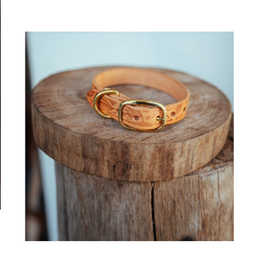 Collar de perro en relieve, Paisley, 20mm, Natural - Product Image 1