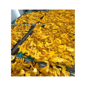 Mango Deshidratado de Primera Calidad, Sabor a Fruta Pura para la Hora del Té y Refrigerio Rico en Nutrientes para Actividades al Aire Libre y Campamentos - Product Image 6